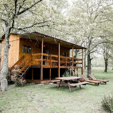 Bed and Breakfast Le Ranch Amadeus Saint-Paul-en-Born Exteriér fotografie