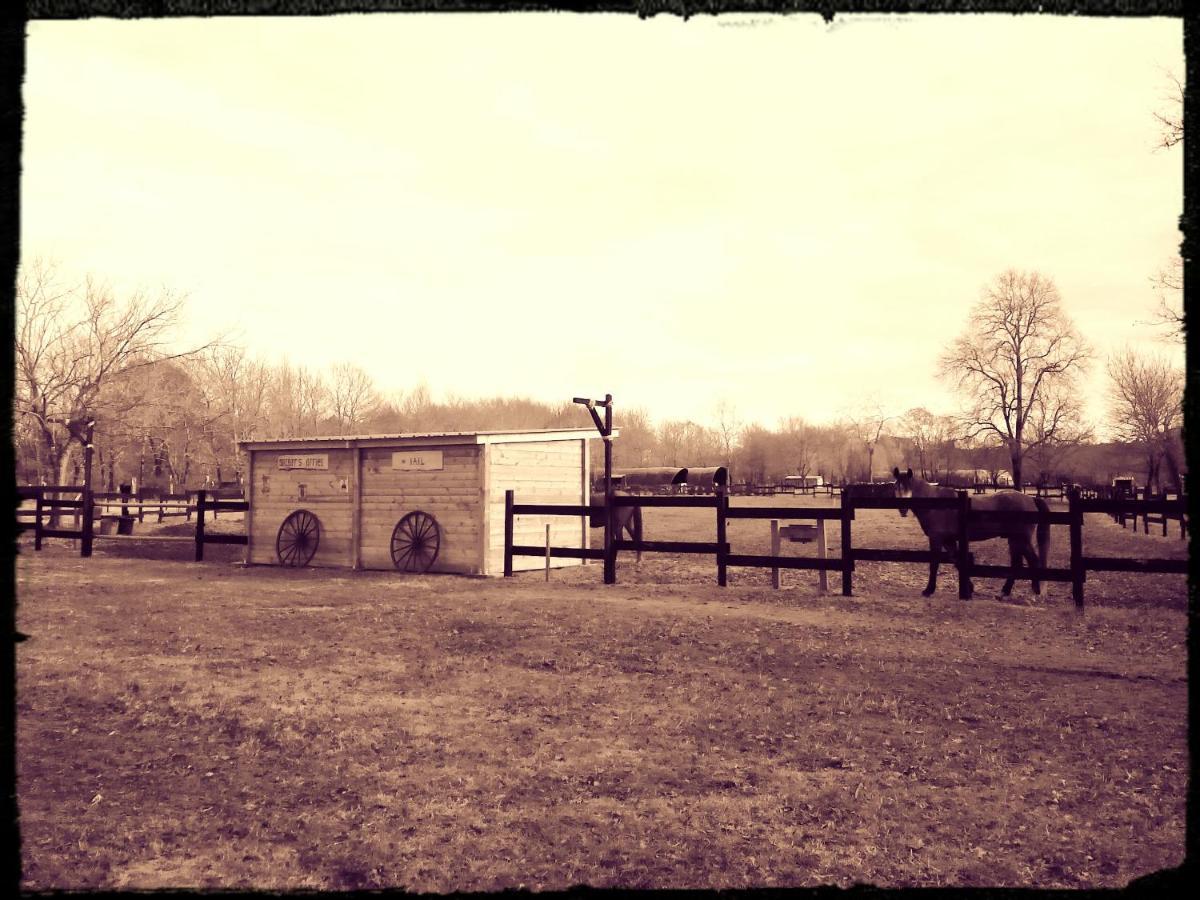 Bed and Breakfast Le Ranch Amadeus Saint-Paul-en-Born Exteriér fotografie