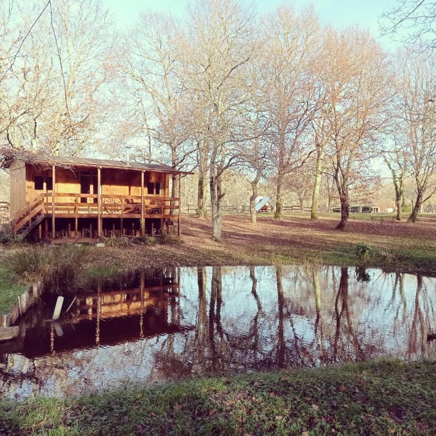 Bed and Breakfast Le Ranch Amadeus Saint-Paul-en-Born Exteriér fotografie