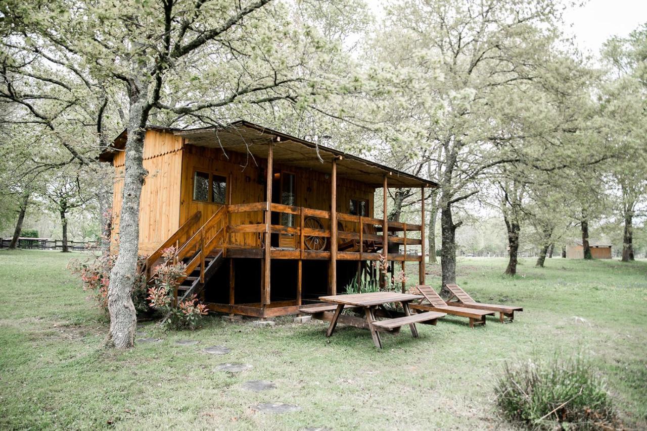 Bed and Breakfast Le Ranch Amadeus Saint-Paul-en-Born Exteriér fotografie