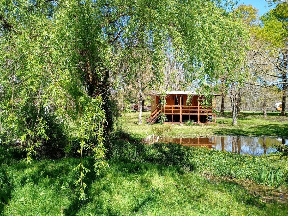 Bed and Breakfast Le Ranch Amadeus Saint-Paul-en-Born Exteriér fotografie
