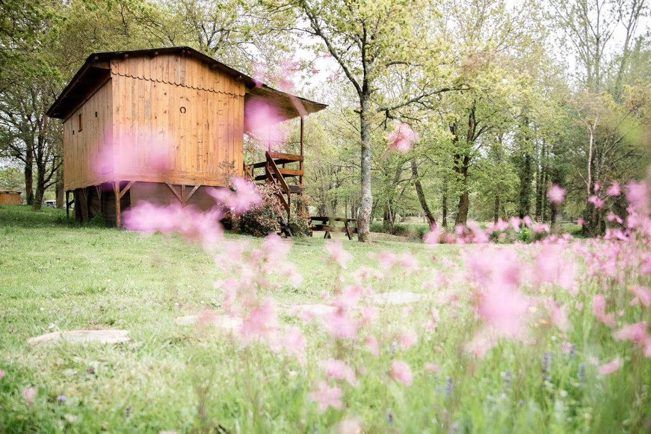 Bed and Breakfast Le Ranch Amadeus Saint-Paul-en-Born Exteriér fotografie