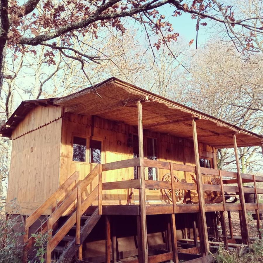 Bed and Breakfast Le Ranch Amadeus Saint-Paul-en-Born Exteriér fotografie