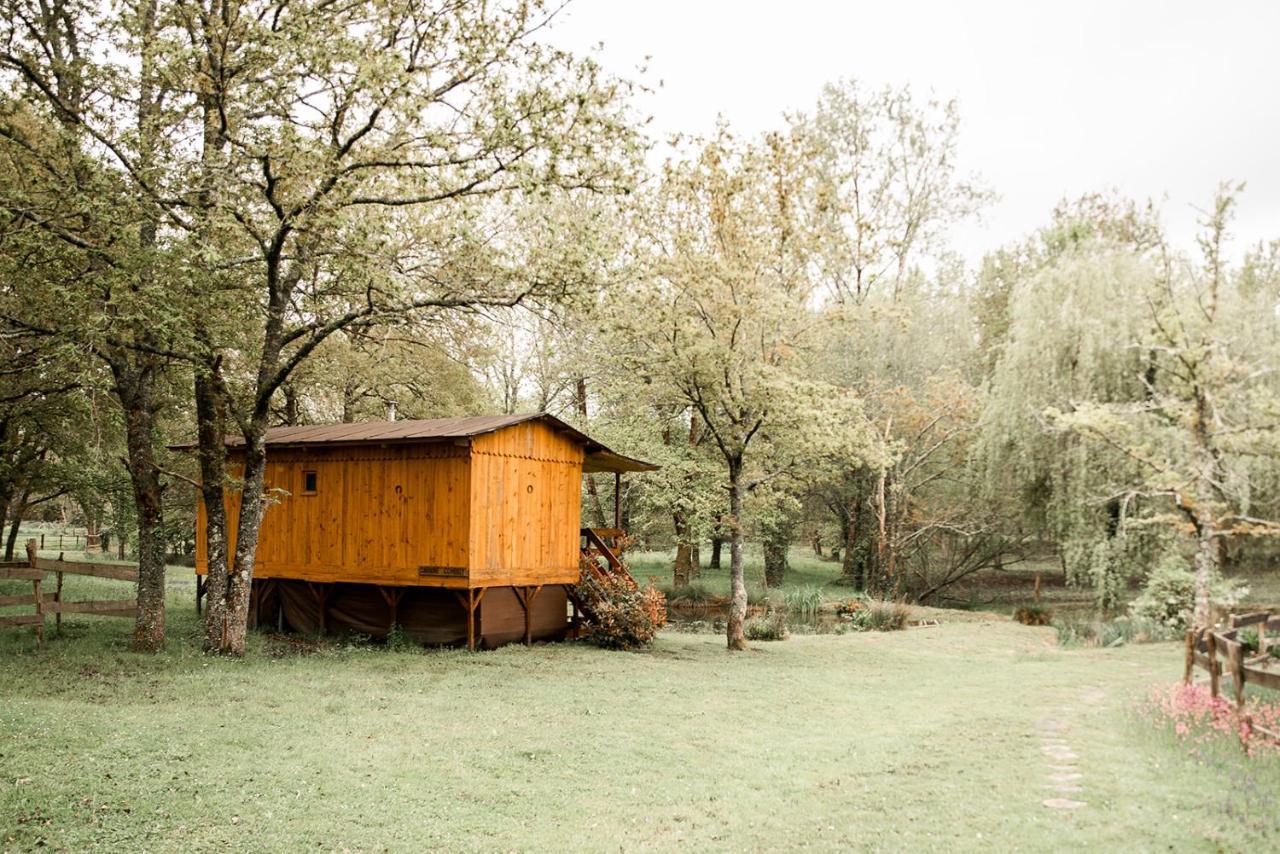 Bed and Breakfast Le Ranch Amadeus Saint-Paul-en-Born Exteriér fotografie