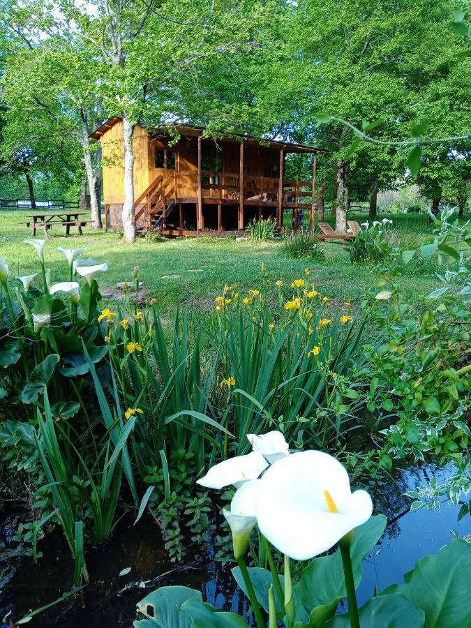 Bed and Breakfast Le Ranch Amadeus Saint-Paul-en-Born Exteriér fotografie
