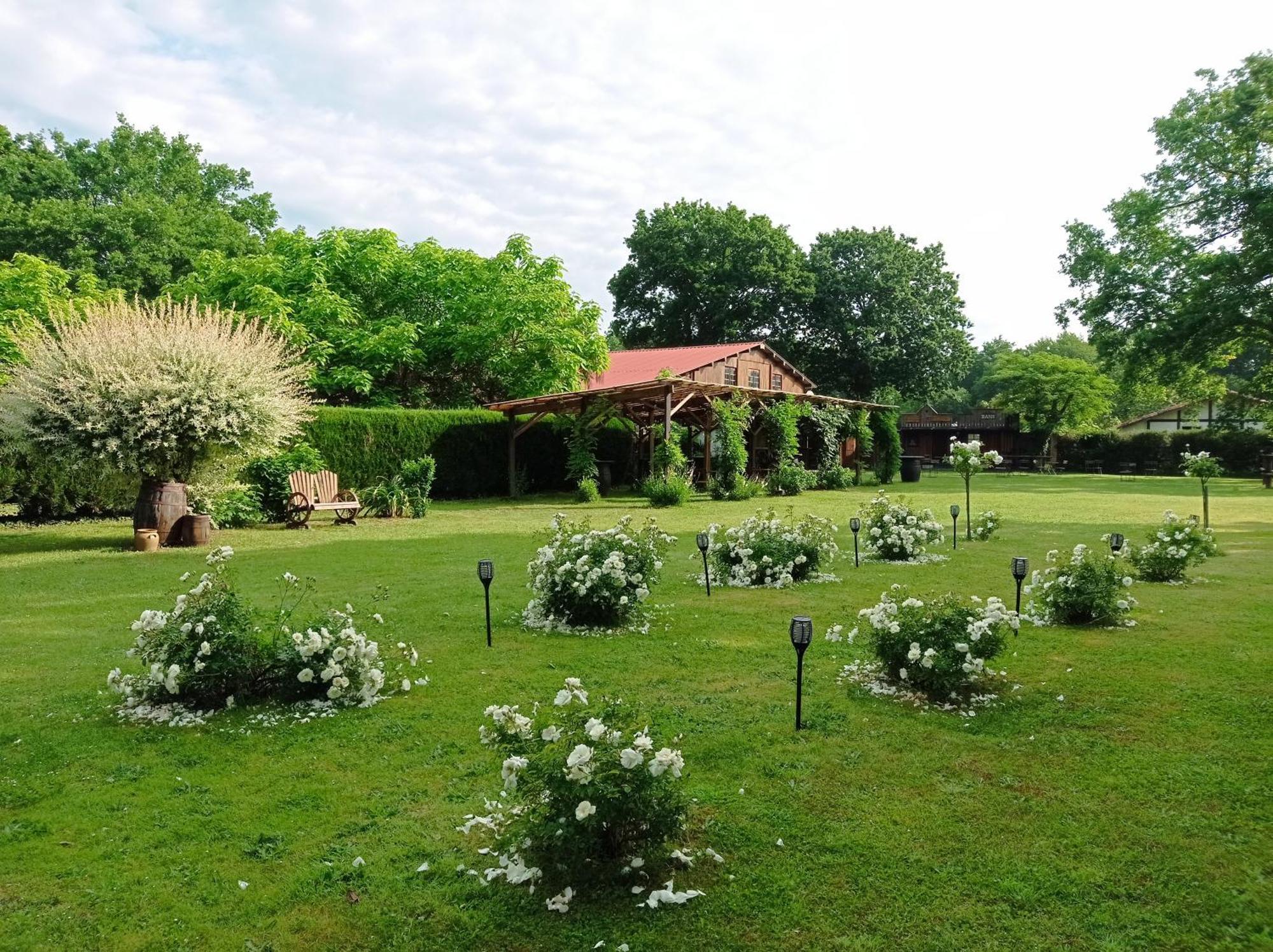 Bed and Breakfast Le Ranch Amadeus Saint-Paul-en-Born Exteriér fotografie